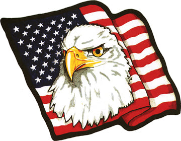 American Flag with Eagle Head Patch